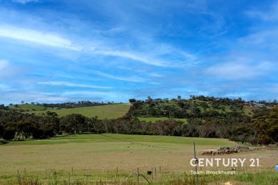 /international/au/110-phillips-road-coondle-wa-152436392/