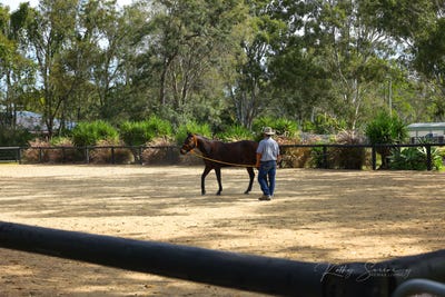 /international/au/86-bellay-road-beachmere-qld-150988120/