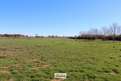 /international/au/104-piper-street-balranald-nsw-204247836/