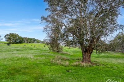 /international/au/501-botanic-drive-inman-valley-sa-700413504/