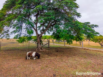 /international/au/4289-bundaberg-road-maroondan-qld-151555436/
