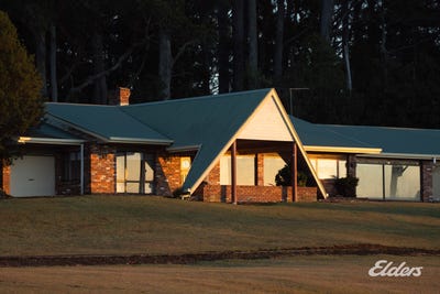 /international/au/508-loyetea-road-loyetea-tas-700366264/