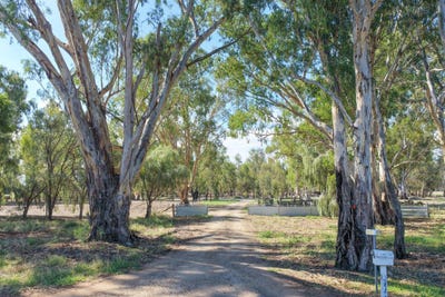 /international/au/465-east-barham-road-barham-nsw-700401680/