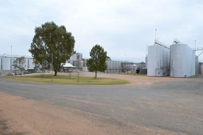 /international/au/214-nixon-road-monash-sa-504965348/