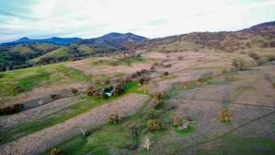 /international/au/-avoca-presses-road-willow-tree-nsw-700412756/
