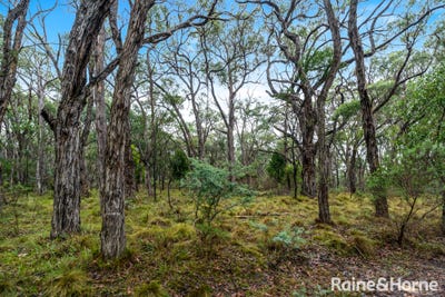 /international/au/lot-126-prince-alfred-street-riddells-creek-vic-204498280/
