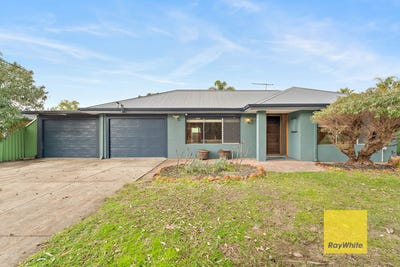 /international/au/8-jenkinson-street-gosnells-wa-148429188/