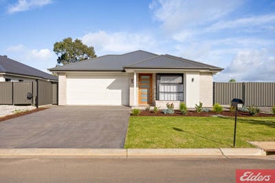/international/au/17-flinders-street-nuriootpa-sa-152595876/