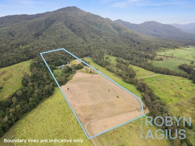 /international/au/4869-mackay-eungella-finch-hatton-qld-151341436/