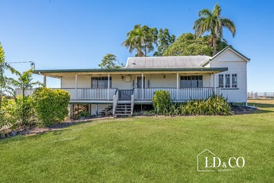 /international/au/148-meadowlands-road-racecourse-qld-151448904/
