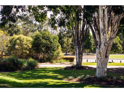 /international/au/lot-501-rosemary-circuit-rochedale-qld-204447392/