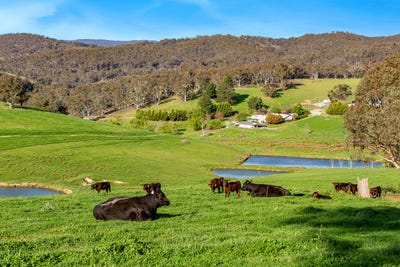 /international/au/1975-kangaloolah-road-peelwood-crookwell-nsw-700426956/