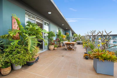 /international/au/2605-43-45-wilson-street-botany-nsw-148495988/