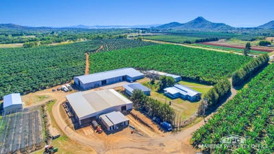 /international/au/737-channel-road-walkamin-qld-700410924/