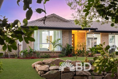 /international/au/4-tamarillo-fig-tree-circuit-narangba-qld-151533876/
