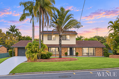 /international/au/87-peverell-street-hillcrest-qld-152404124/