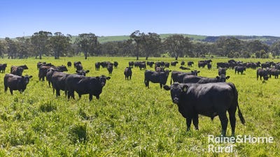 /international/au/160-rowley-road-myponga-sa-700429276/