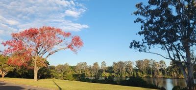 /international/au/17-esplanade-yeronga-qld-147937820/?lang=fr