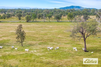 /international/au/64930-bruce-highway-yaamba-qld-700403616/