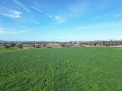 /international/au/-willowbank-urana-road-jindera-nsw-700367000/