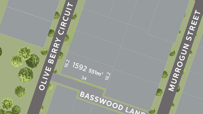 /international/au/lot-1592-olive-berry-circuit-mount-low-qld-204274828/