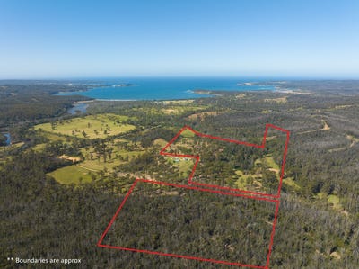 /international/au/lot-4-dp-624612-nullica-short-cut-rd-boydtown-via-eden-nsw-204558860/