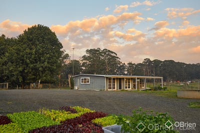 /international/au/2675-willow-grove-road-hill-end-vic-700408272/