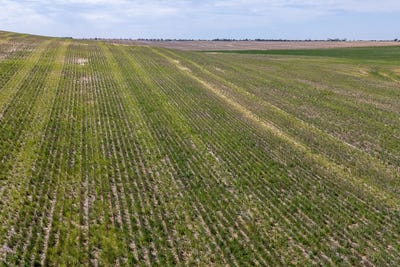 /international/au/528-thiel-road-pinnaroo-sa-700403296/