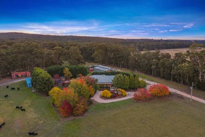 /international/au/130-stonier-road-napoleons-vic-151035220/
