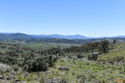/international/au/-muriel-s-paddock-gullies-road-moonbah-nsw-700427700/