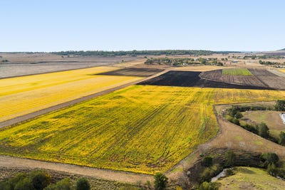 /international/au/2-hillside-road-allora-qld-700412372/