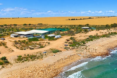 /international/au/726-little-islands-road-streaky-bay-sa-152697404/