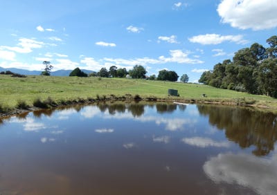 /international/au/3-39-mcgrettons-road-healesville-vic-700404252/