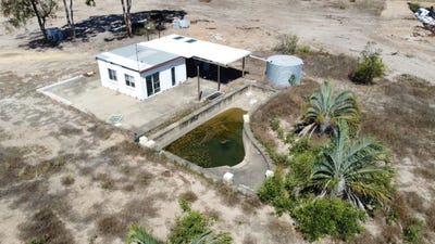 /international/au/255-mollenhagens-road-winfield-qld-700425112/
