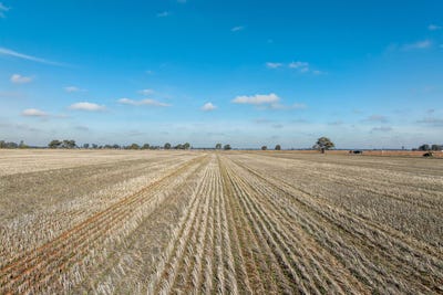 /international/au/christies-road-katunga-vic-700365624/