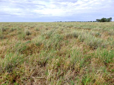 /international/au/-sunset-view-lot-15-landsborough-highway-winton-qld-700408856/