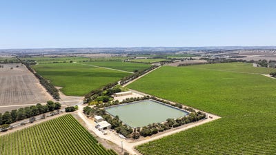 /international/au/179-milang-road-belvidere-sa-504771748/