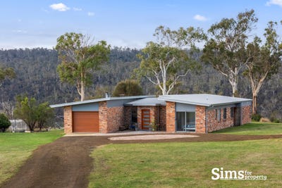 /international/au/54-white-gum-rise-st-leonards-tas-151358512/