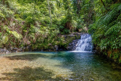 /international/au/58-maple-road-cow-bay-daintree-qld-151150232/