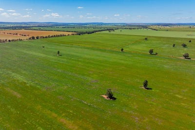 /international/au/584-willows-road-ardlethan-nsw-700424592/