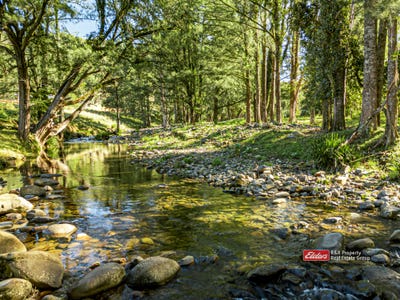 /international/au/1561-bowman-river-road-bowman-via-gloucester-nsw-700412812/