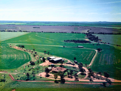 /international/au/9088-mullewa-wubin-road-morawa-wa-700404920/