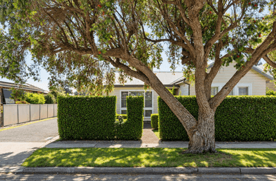 /international/au/37-mackie-avenue-new-lambton-nsw-152588840/