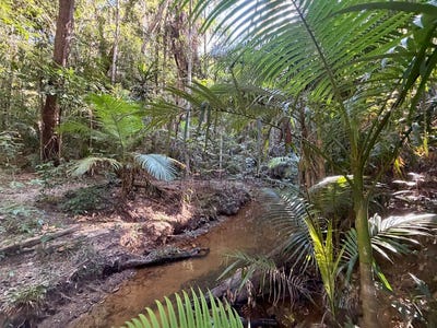 /international/au/lot-35-kingfisher-drive-kuranda-qld-204541820/