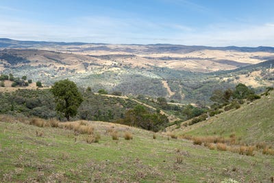 /international/au/1257-bundalah-road-euchareena-nsw-700366792/?lang=en