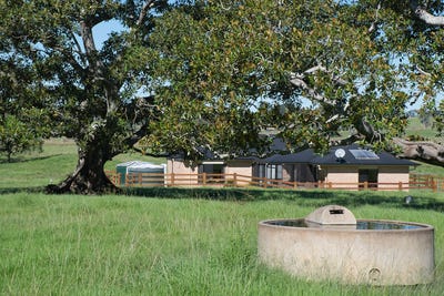 /international/au/49-hicks-road-spring-grove-nsw-700408160/