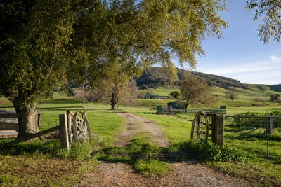 /international/au/5494-kiewa-valley-highway-running-creek-vic-151534724/