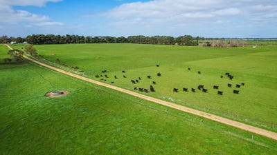 /international/au/-glen-rises-320-glengleeson-west-road-macarthur-vic-700331724/