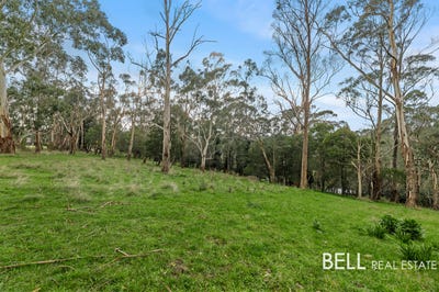 /international/au/lot-2-715-gembrook-launching-place-road-hoddles-creek-vic-204533604/