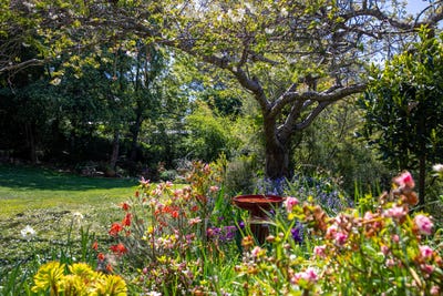 /international/au/11-murchison-street-mittagong-nsw-148295992/?lang=it